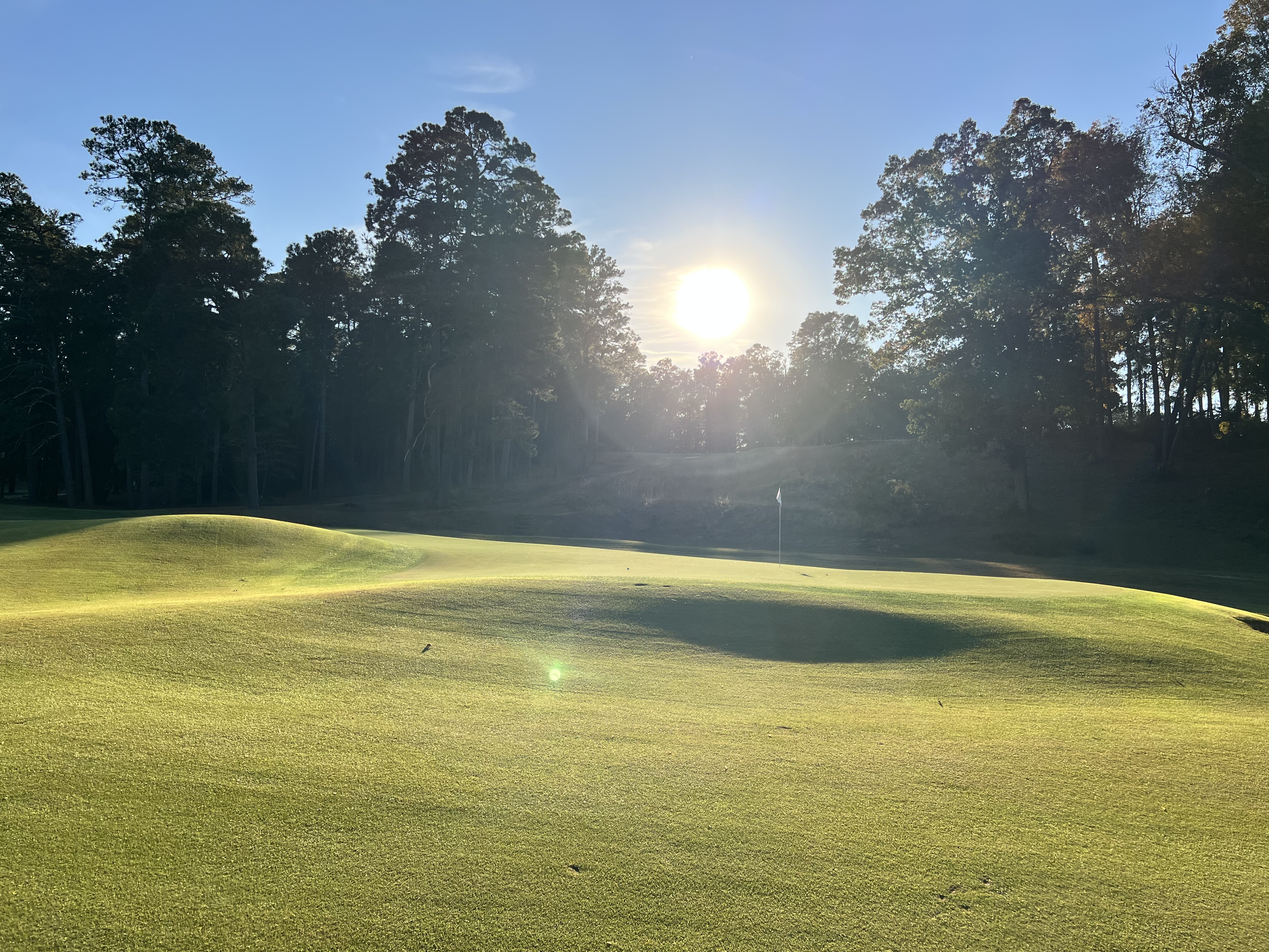 Palmetto Golf Club